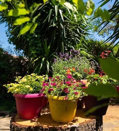 Il Giardino Di Elena E Pino * 加埃塔